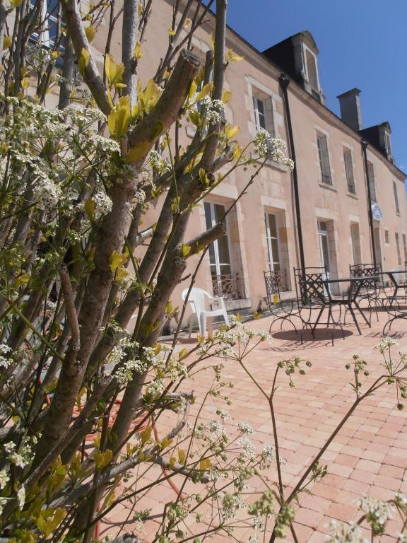 Chateau Sainte Marie Hotel Dompierre-sur-Charente Eksteriør billede